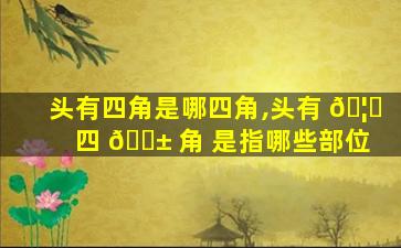 头有四角是哪四角,头有 🦅 四 🐱 角 是指哪些部位